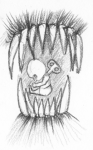 post-2212-1219176608_thumb.png