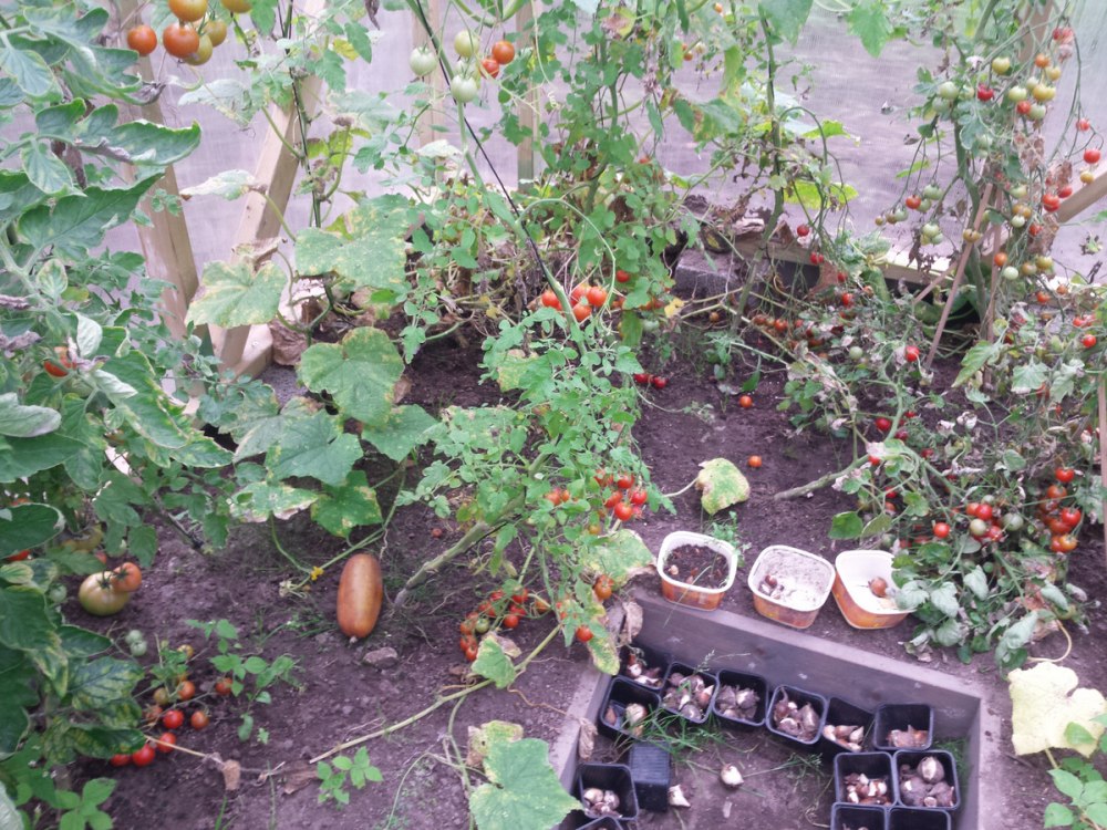 IMG_20160904_170505 (2).jpg