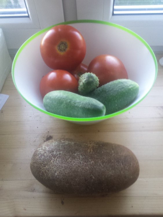 IMG_20160914_175754 (2).jpg