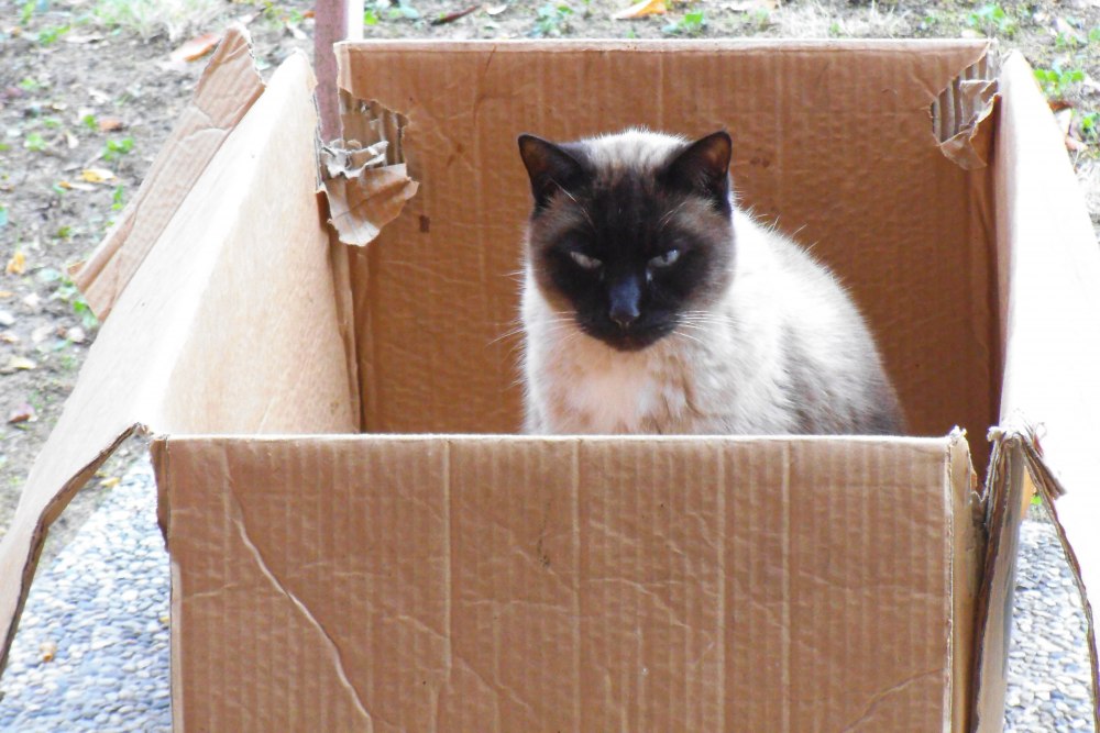 DSCF2621.jpg