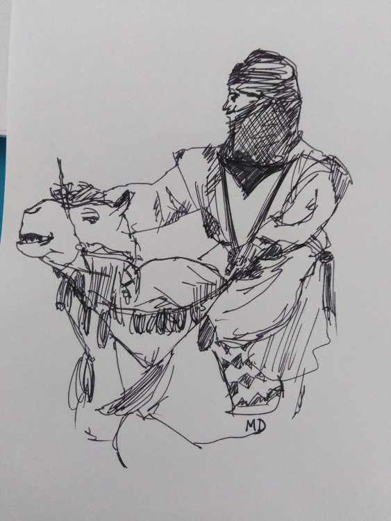 camel.jpg