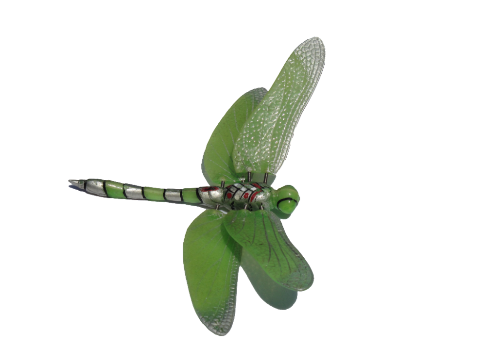 Dragonfly-clip-art-photo.thumb.png.49321ced899ad284a8548c4450a1b250.png