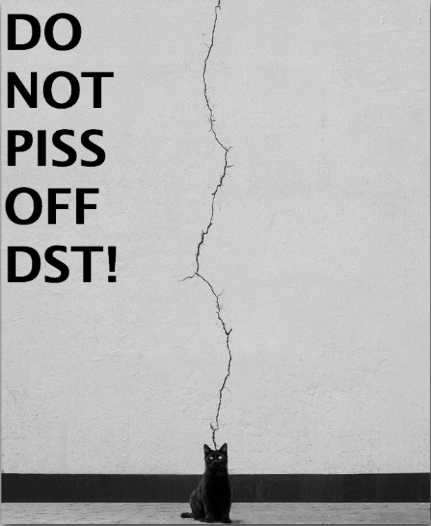 Screen Shot 2022-04-14 at 8.40.36 AM.png