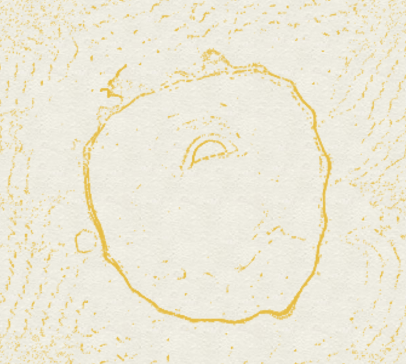 One-eyed whatever.png